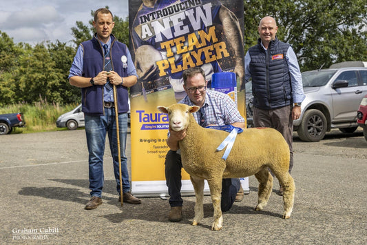 NI Dorset Club Premier Sale Report 2025