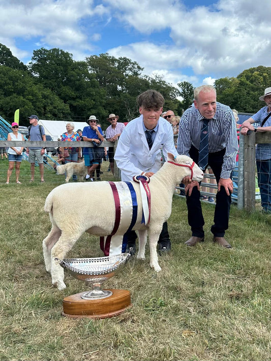 New forest Show 2025