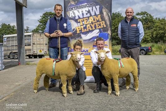 Ballymena Show Results 2025