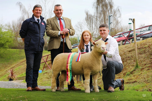 Dorset Emeralds Show & Sale report