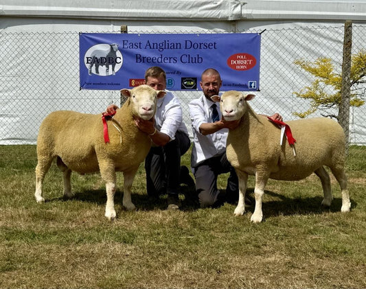 Suffolk County Show