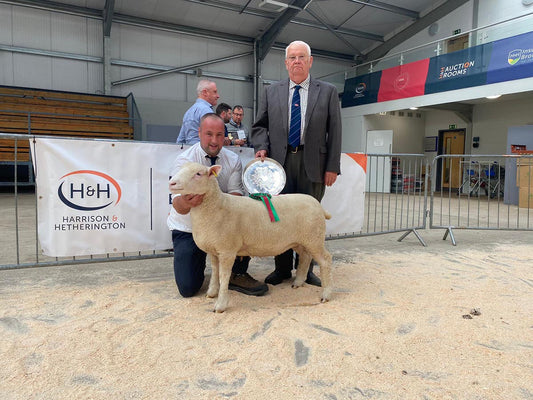 Carlisle Sale 2022 - August - Prices