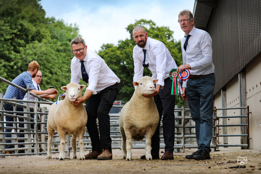 Worcester 2024 Show & Sale Report