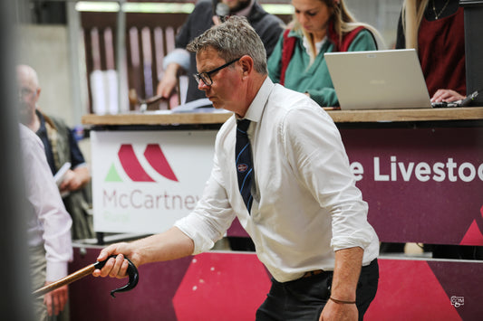 Worcester sale prices 2024