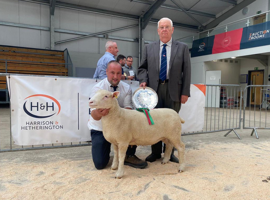 Carlisle Sale Report 2022