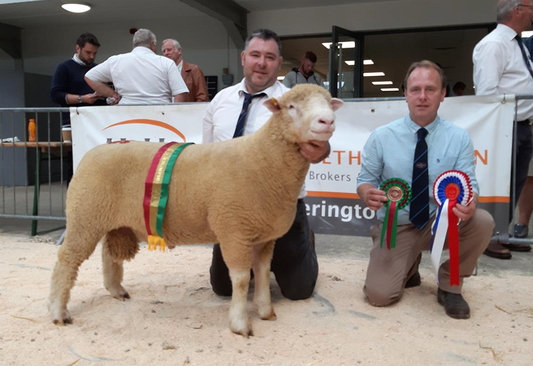 Carlisle Sale 2021 - August Report