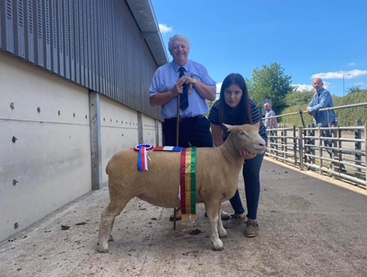 Worcester Sale 2022 - Prices