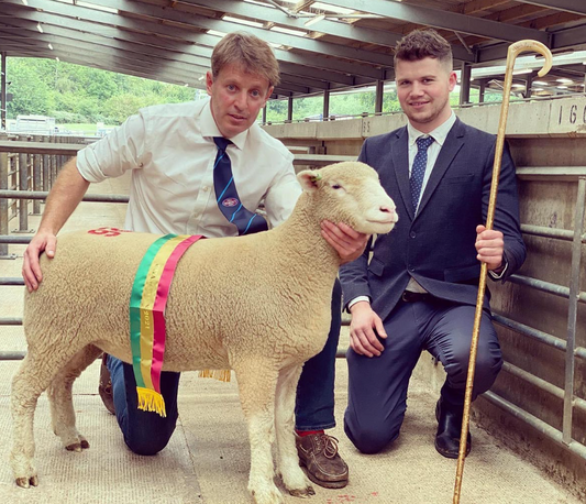 Worcester Sale 2021 - Results
