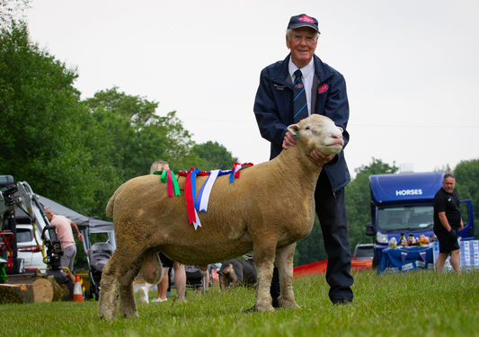 Selecting your stud rams