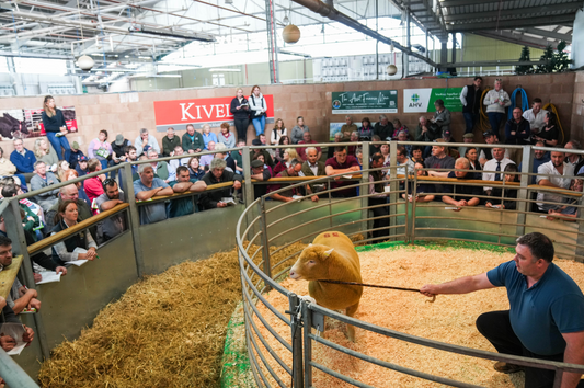 May Fair 2024 Report