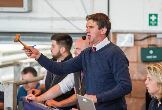 May Fair 2024 Prices