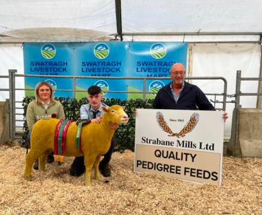 Swatragh Show Results