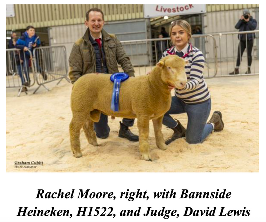 Dorset Diamonds Show