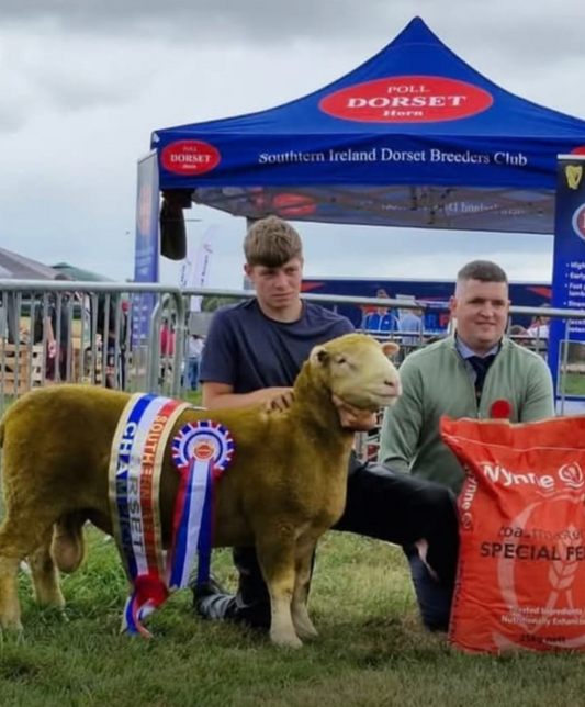 Clonmel Show Results