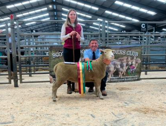 Lanark Show & Sale Results 2025