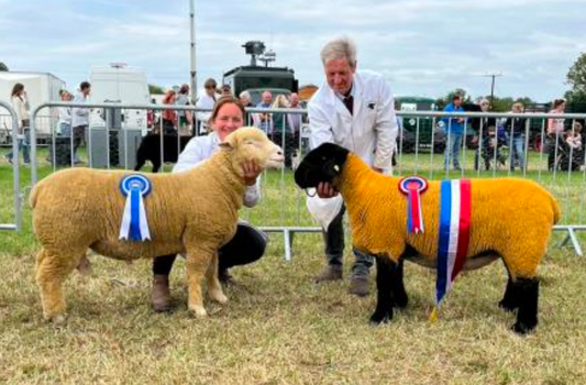 Heckington Show 2025