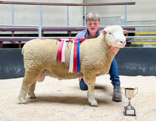 Skipton Sale Report