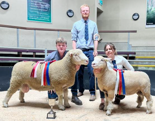 Skipton Show Results