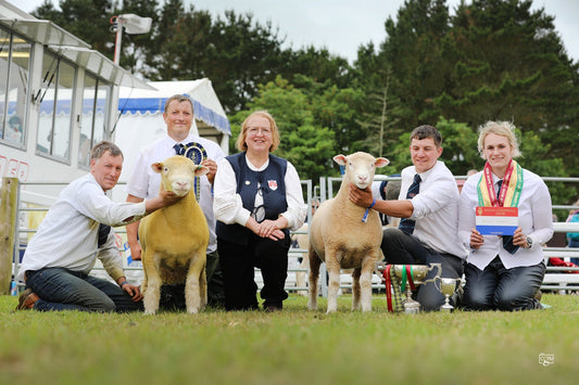 Royal Cornwall Show 2025 - National Show
