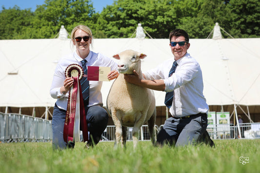Devon County Show