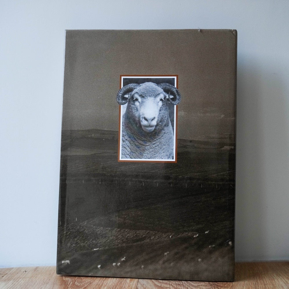 Dorset Horn Book