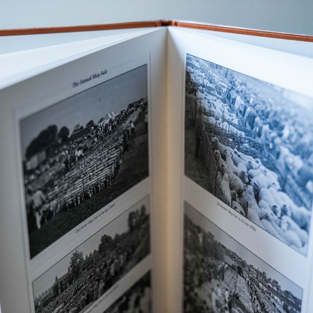 Dorset Horn Book