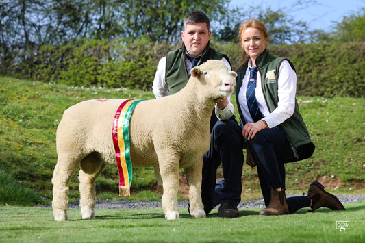 Emeralds Sale Report 2026