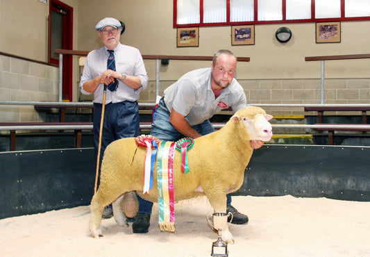 Skipton Show Results 2024