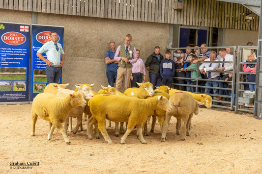 Annual Premier Show and Sale Report 2026