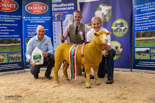 Premier Show & Sale 2026