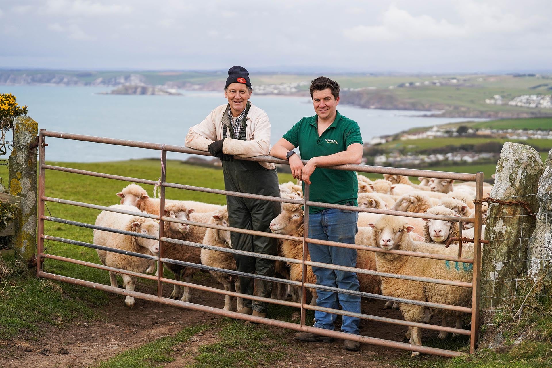 Poll Sheep Dorset Horn and Poll Dorset Sheep Breeder's Association – DORSET HORN ...