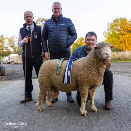 NI Autumn Show Results