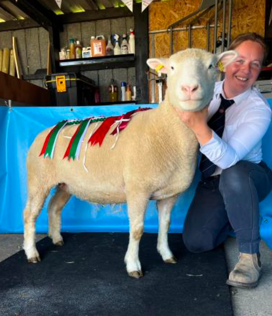 Nottinghamshire Show