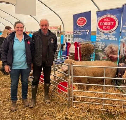 Stand at Southern Ireland Ploughing