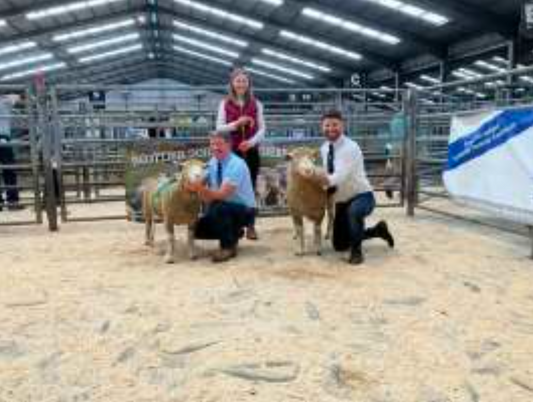 Lanark Show Results