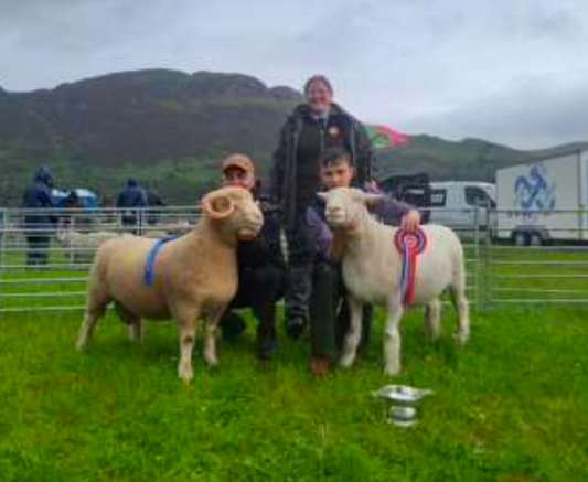 Stirling Show results