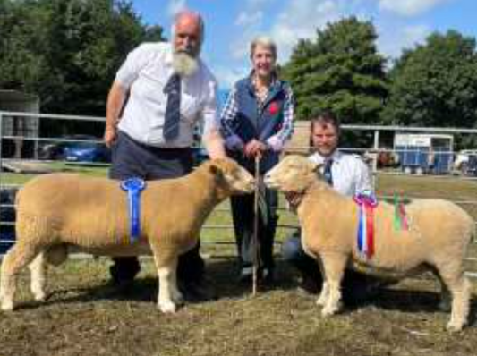 Kinross Show results