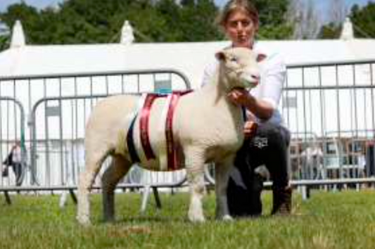 Devon County Show 2026