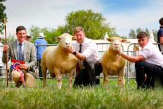 Royal Bath & West Show 2026