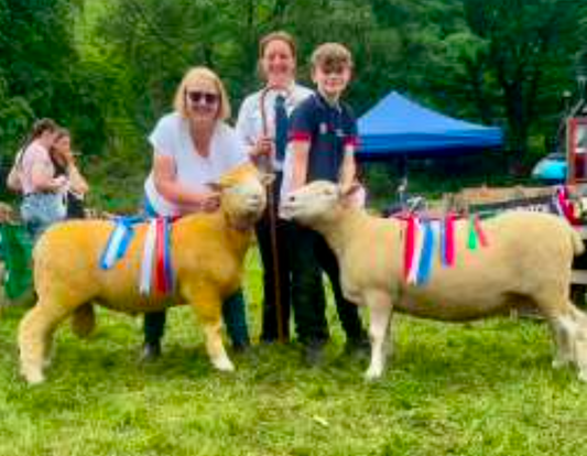 Todmorden Show Results 2026