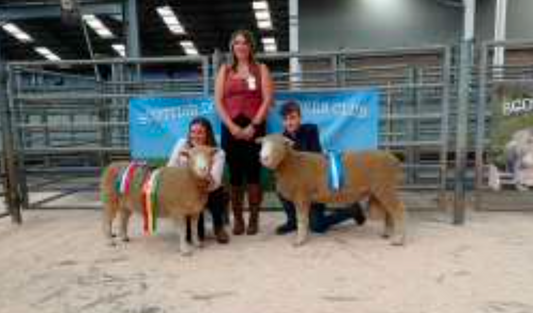 Lanark Show & Sale Report