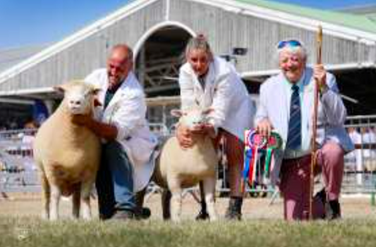 Great Yorkshire Show 2026