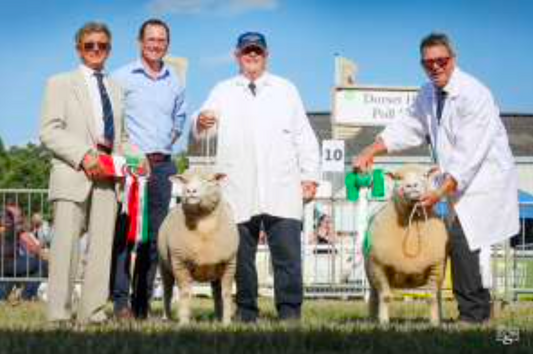 Royal Welsh Show 2026