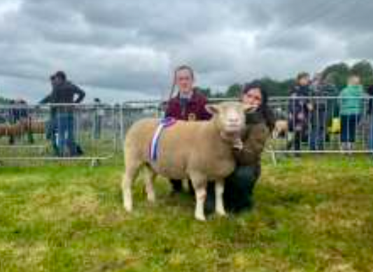 Ballymoney Show 2026