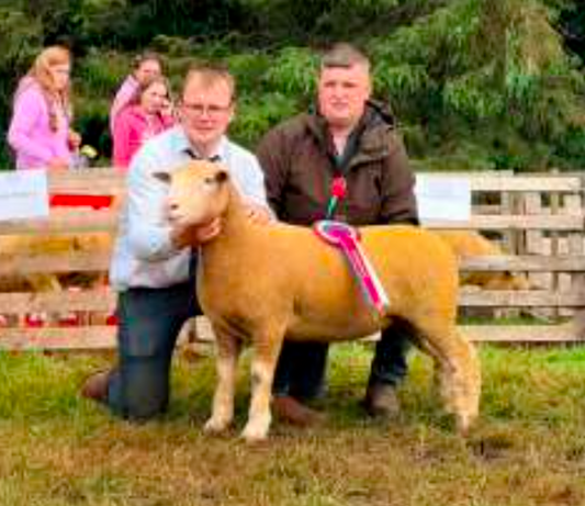 Omagh Show 2026