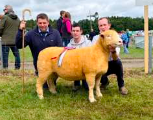 Armagh Show 2026
