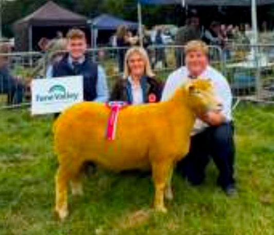 Antrim Show 2026