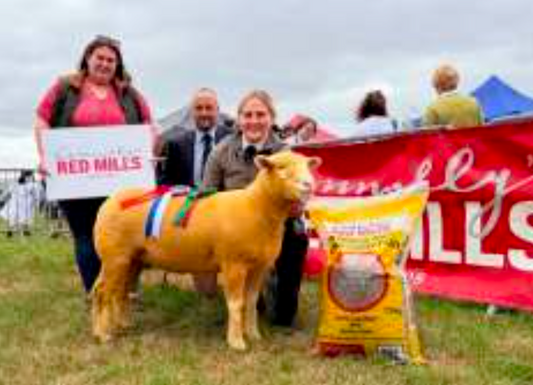 Limavady 2026