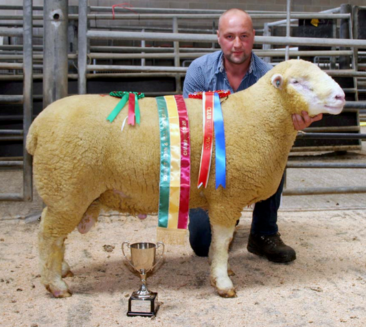 Skipton Sale Report 2026